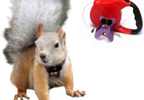 Vista 8 de Correa de cuerda de tracción de ardilla, cuerda de cadena antimordeduras, arnés para caminar pequeños animales con correa extensible para hámster