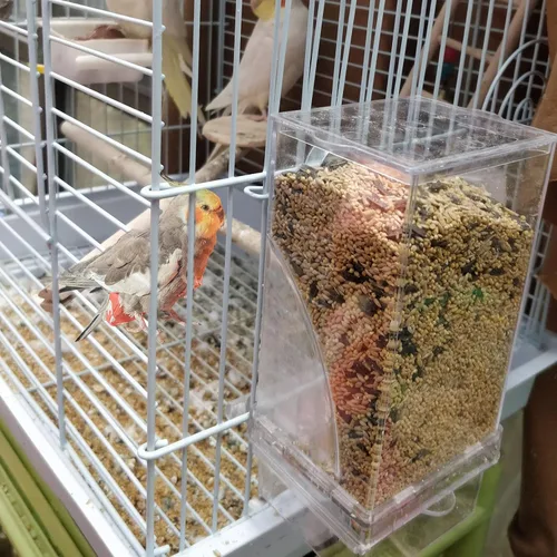 Vista 5 de Hamiledyi Alimentador automático de jaulas para pájaros sin ensuciar, con perca, acrílico transparente, contenedor de alimentos, accesorios