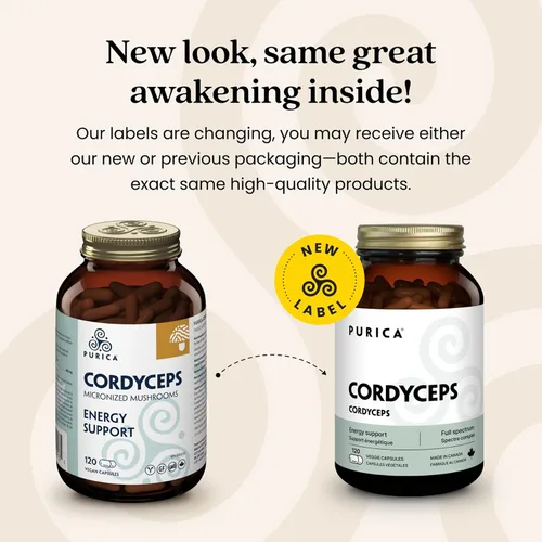 Vista 9 de PURICA Cordyceps - Suplementos de hongos, 120 cápsulas veganas, suministro de 30 días, apoya la energía, vitalidad, bienestar respiratorio, cuidado