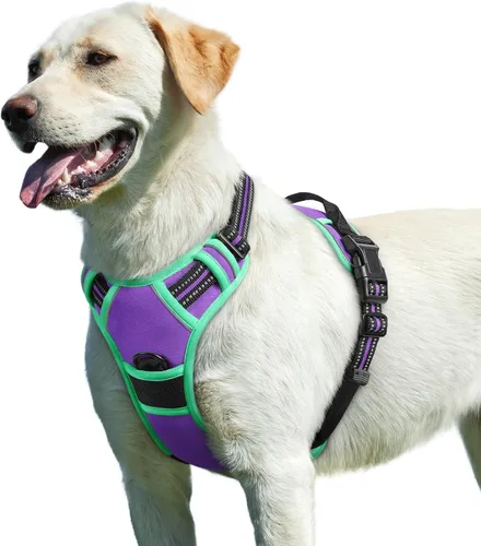 Vista 52 de Eagloo Arnés para perro pequeño, sin tirones, chaleco de servicio con tiras reflectantes y asa de control, ajustable y cómodo para caminar, arnés