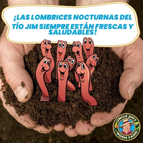 Vista 4 de Uncle Jim's Worm Farm 100 unidades de Nightcrawlers europeos súper rojos para compostaje y aireación del suelo del jardín Los grandes rastreadores