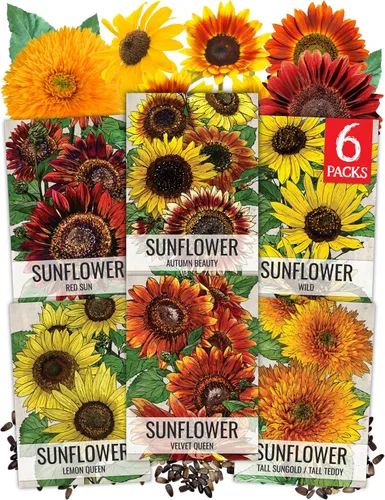 Vista 15 de Seed Needs - Semillas de Capuchina para Plantar Flores Comestibles - Juego de Colección de Mezcla Joya y Capuchinas de Doble Brillo para Atraer