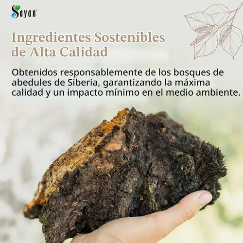Vista 5 de Polvo extracto hongo chaga siberiano. Súper antioxidante, ayuda al sistema inmune., 2 onza, 1