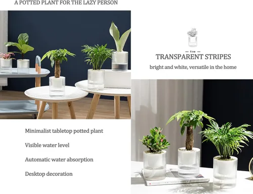Vista 4 de Macetas de riego automático de 7 pulgadas, caja transparente de riego automático para plantas de interior, flores, exteriores, alféizar de ventana