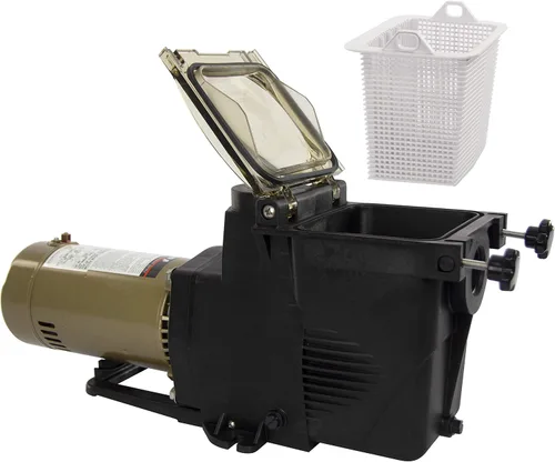 Vista 2 de Bomba de piscina Rx Clear Ultimate Niagara de 3/4 HP para piscinas enterradas