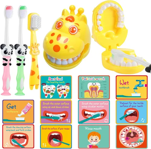Vista 7 de Skylety Juego de 2 dientes modelo de dentista con cepillo de dientes