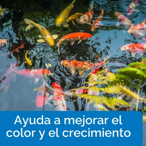 Vista 5 de API POND FISH FOOD Pond Fish Food - Bolsa de 11.5 onzas