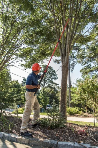 Vista 3 de Corona TP 6870 MAX RazorTOOTH DualCOMPOUND Action 14-ft. Tree Pruner