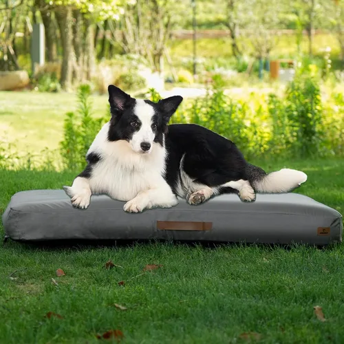 Vista 11 de ABCPET Cama inflable para perros pequeños, para viajes al aire libre, con funda extraíble, cama inflada impermeable para perros de verano con parte