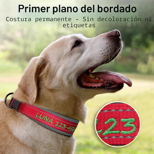 Vista 2 de Collar de perro personalizado, nombre bordado y número de teléfono, collar de nailon reflectante personalizado para mascotas, ajustable