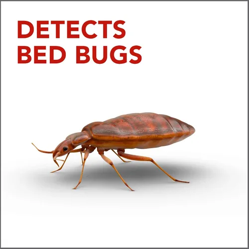 Vista 3 de Raid Detector y trampa de chinches de cama, para uso en interiores, 4