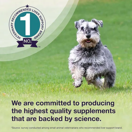 Vista 4 de Nutramax Laboratories Denamarin Suplemento de salud hepática para perros medianos - Con S-adenosilmetionina (SAMe) y silibina, 30 tabletas