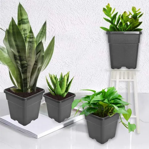 Vista 6 de Macetas cuadradas para vivero, macetas de cultivo para plantas de suelo, 0.63 galones, 10