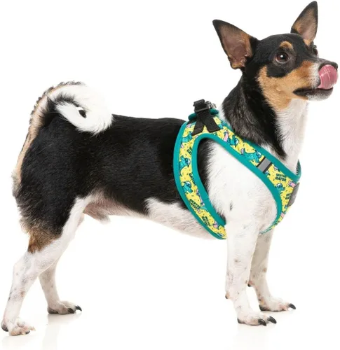 Vista 3 de FuzzYard Sk8ter Gator Rad - Arnés para perros (extra pequeño)