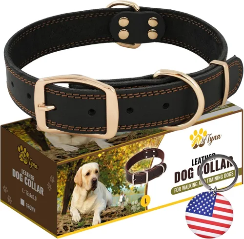 Vista 10 de Collar de perro de cuero negro resistente, collar de perro suave y fuerte para cachorros o razas pequeñas