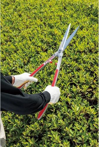 Vista 3 de ARS LPB-20S Lopper para viñedo