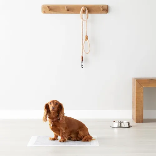 Vista 7 de Amazon Basics Almohadillas para control de olor de carbón para perros y cachorros, 5 capas a prueba de fugas súper absorbentes, superficie de secado