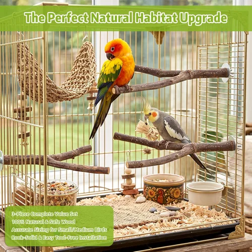 Vista 7 de 3 piezas de madera natural para pájaros ramas bifurcadas para Marrón