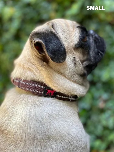 Vista 9 de Tuff Pupper Collar de perro resistente con asa Collar de nailon balístico resistente Collar de perro reflectante acolchado con hardware