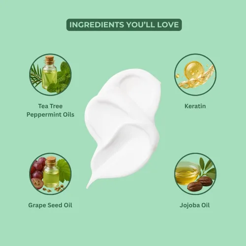 Vista 7 de Daeng Gi Meo Ri Tea Tree Cool Treatment Acondicionador refrescante para el cuero cabelludo con árbol de té y menta Hidratación profunda, suaviza