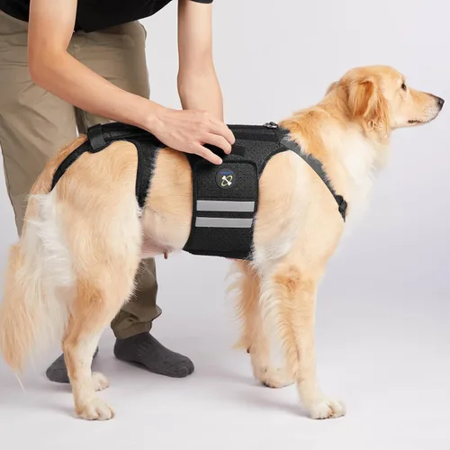 Vista 7 de Coodeo Soporte de espalda para perros para artritis, soporte de espalda para mascotas para IVDD, protector de espalda ayuda a aliviar el dolor