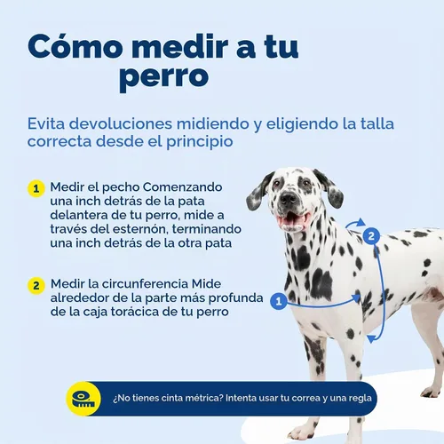 Vista 8 de Arnés de paseo fácil de PetSafe, Negro/Plateado