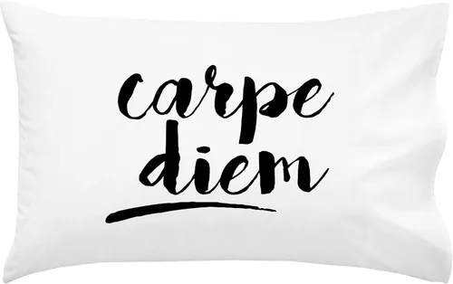 Vista 11 de Oh, Susannah Carpe Diem - Funda de almohada cursiva de 18 x 18 pulgadas, fundas de almohada inspiradoras doradas