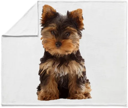 Vista 4 de CafePress Yorkie - Manta de forro polar súper suave, 60 x 50 pulgadas