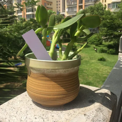 Vista 4 de MIHEY 100 etiquetas de plástico para estaca de jardín de 4 pulgadas