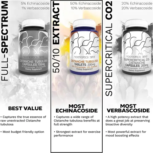 Vista 5 de Nootropics Depot Tabletas de Cistanche tubulosa 200 mg 60 unidades Mínimo 50% equinacosido + 10% acetósido (verbascósido) Promueve la fuerza