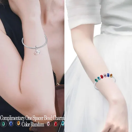 Vista 4 de LNQOBU Dije de plata de ley 925 para madre, hija, familia, amor, familia, amigos, para pulseras y collares