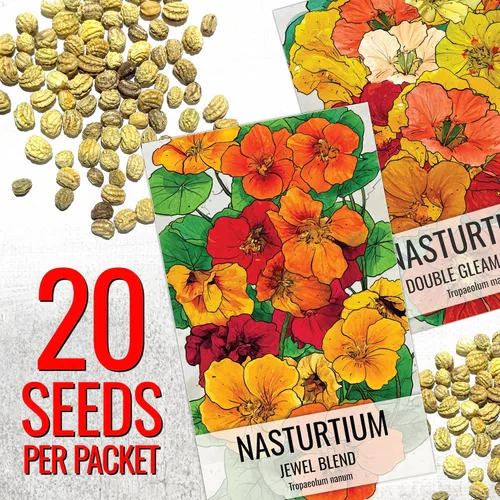 Vista 2 de Seed Needs - Semillas de Capuchina para Plantar Flores Comestibles - Juego de Colección de Mezcla Joya y Capuchinas de Doble Brillo para Atraer