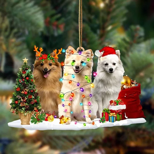 Vista 48 de Nazenti Adorno de Navidad personalizado con amigos Affenpinscher – Adorno de perro personalizado para amantes de las mascotas, acrílico plano