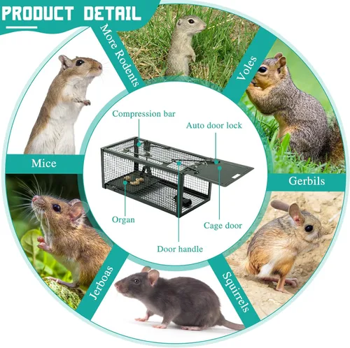 Vista 6 de Qualirey Trampa para ratas vivas, 2 unidades, trampa humana para ratones, ratones, jaula para animales pequeños, para interiores y exteriores, Verde