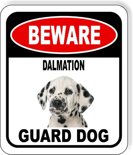 Vista 20 de BEWARE BASSETT HOUND GUARD DOG - Letrero compuesto de aluminio para exteriores, 8.5 x 10 pulgadas CUIDADO BASSETT HOUND GUARD PERRO