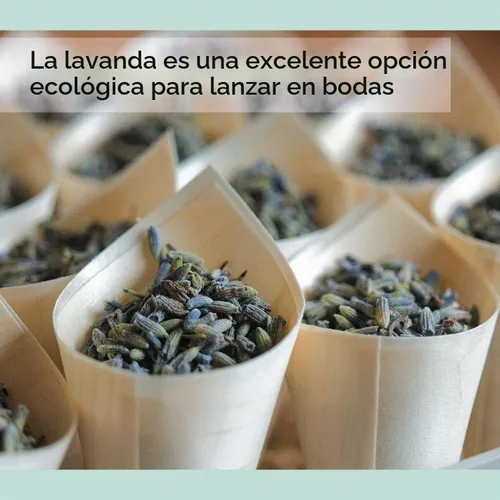 Vista 5 de Flores secas de lavanda orgánicas (caja de 5 libras), capullos de lavanda a granel