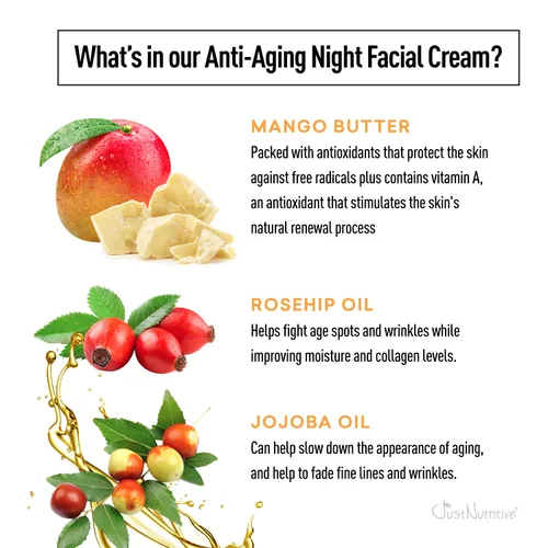 Vista 6 de Just Nutritive Crema facial de noche antienvejecimiento La mejor crema de noche para una piel de aspecto impresionante Crema antiarrugas Crema
