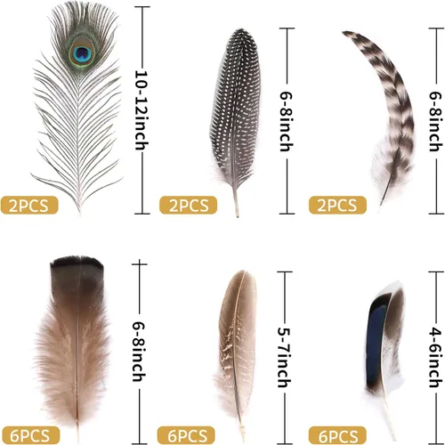 Vista 2 de Holmgren 24 piezas de plumas naturales al por mayor - 6 estilos surtidos de pavo real, faisán, pavo para manualidades, joyería DIY, sombreros
