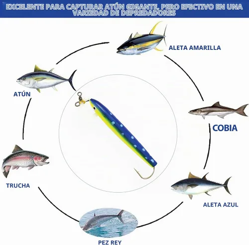 Vista 6 de Tapones de cedro aparejados de 6" - 6 piezas con bolsa de señuelo