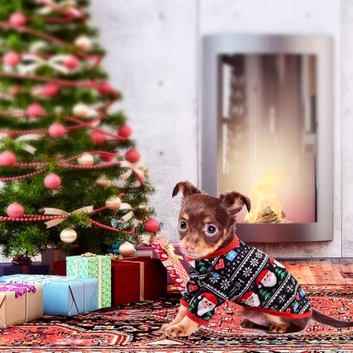Vista 6 de HYLYUN Paquete de 2 camisetas de Navidad para perros pequeños, ropa para Rojo + negro