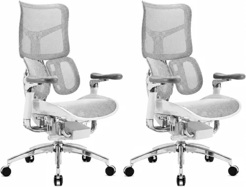 Vista 13 de SIHOO Doro S100 Ergonomic Office Chair - Dual Dynamic Lumbar Support, 4D Coordinated Armrests, 5-Level Adjustable Backrest, Recline Angle 135-degree
