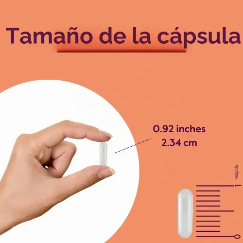 Vista 4 de BESTVITE L-tirosina 500 mg (240 cápsulas) - Sin estearatos - Sin OMG - Sin