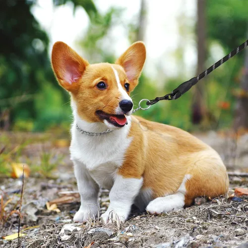 Vista 6 de TagME Collar de cadena para perros, collar ajustable a prueba de clima para perros pequeños y cachorros, collar de entrenamiento de mascotas