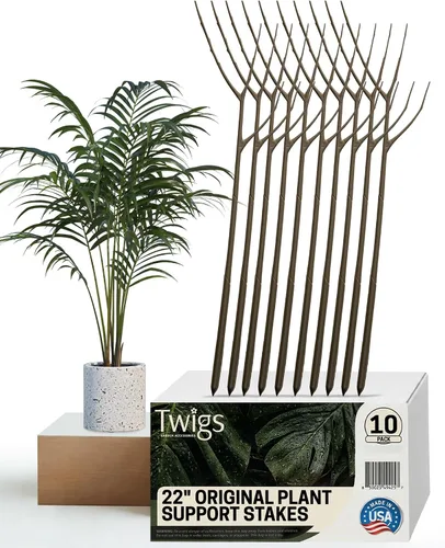 Vista 9 de Twigs GA - Estacas de soporte para plantas para uso en interiores y exteriores, alternativa duradera de enrejado para plantas trepadoras