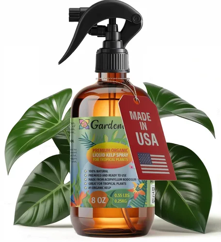 Vista 9 de GARDENERA Spray orgánico profesional de algas marinas para plantas AGLAONEMA – 8 oz – Rocío fertilizante de algas marinas y algas marinas totalmente