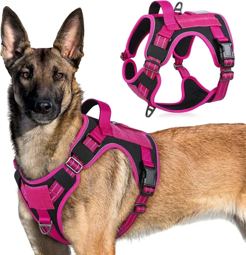 Vista 61 de rabbitgoo Arnés táctico para perros pequeños, chaleco de servicio militar sin tirones con asa y Molle, de fácil control para entrenar y caminar