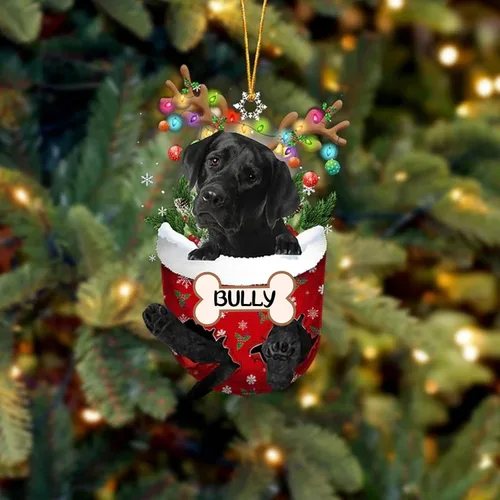 Vista 79 de IZI POD Affenpinscher Adorno de Navidad personalizado para perro, adorno de bolsillo de nieve para perro para árbol de Navidad, adorno acrílico