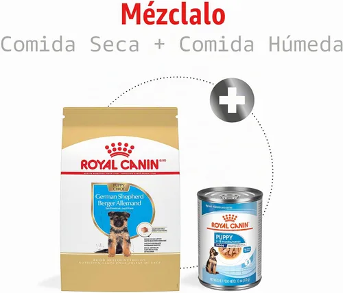 Vista 7 de Royal Canin Breed Health Nutrition - Alimento seco para perros pastor alemán, 2.5 libras