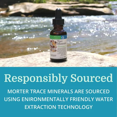 Vista 5 de Morter Trace Minerals (paquete de 2) - Gotas minerales coloidales fúlvicos con más de 70 minerales y 18 aminoácidos - Apoyo inmunológico, digestivo
