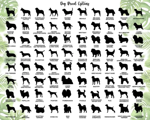 Vista 3 de Adorno conmemorativo personalizado para atrapasoles para perros, nombre personalizado y razas de perros, regalo para amantes de los perros, adorno